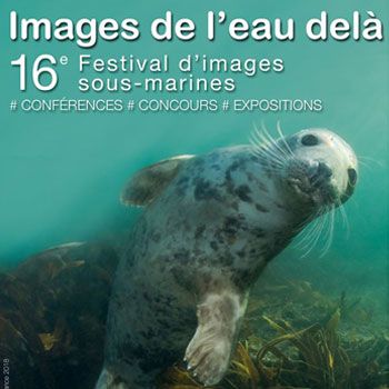 Festival images de l'eau delà