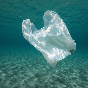 Stop aux déchets en mer