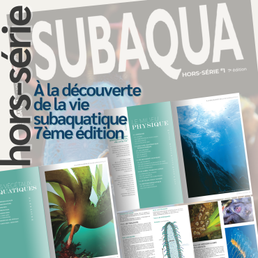 À la découverte de la vie subaquatique – 7e édition